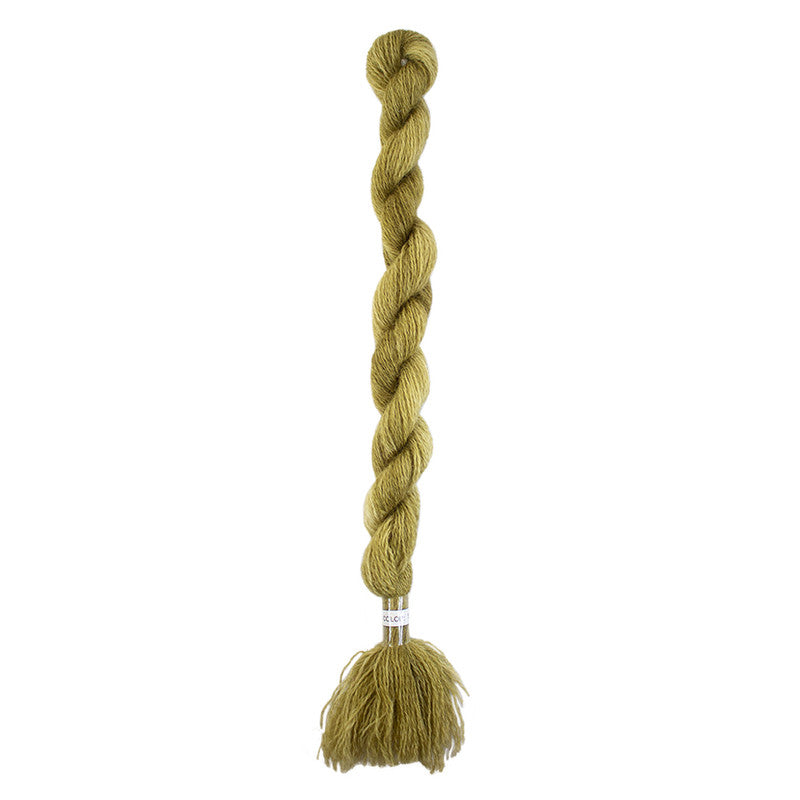 TRENZAS CREWELL
