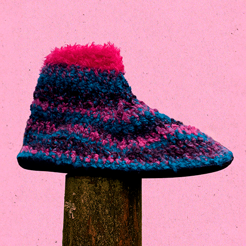 pantuflas-bryophyta_foto-cuadrada_b03bbf09-ec7b-498c-8b50-113e1d183e05.png